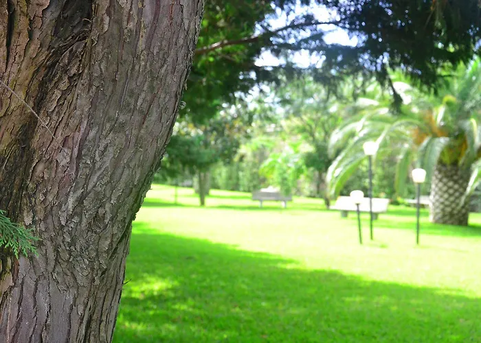 Hotel Eurolido Falerna